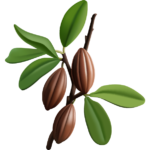 diala sweets element image 01